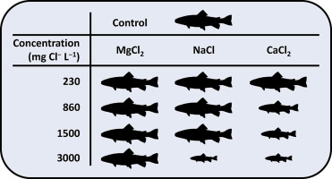 www.sciencedirect.com