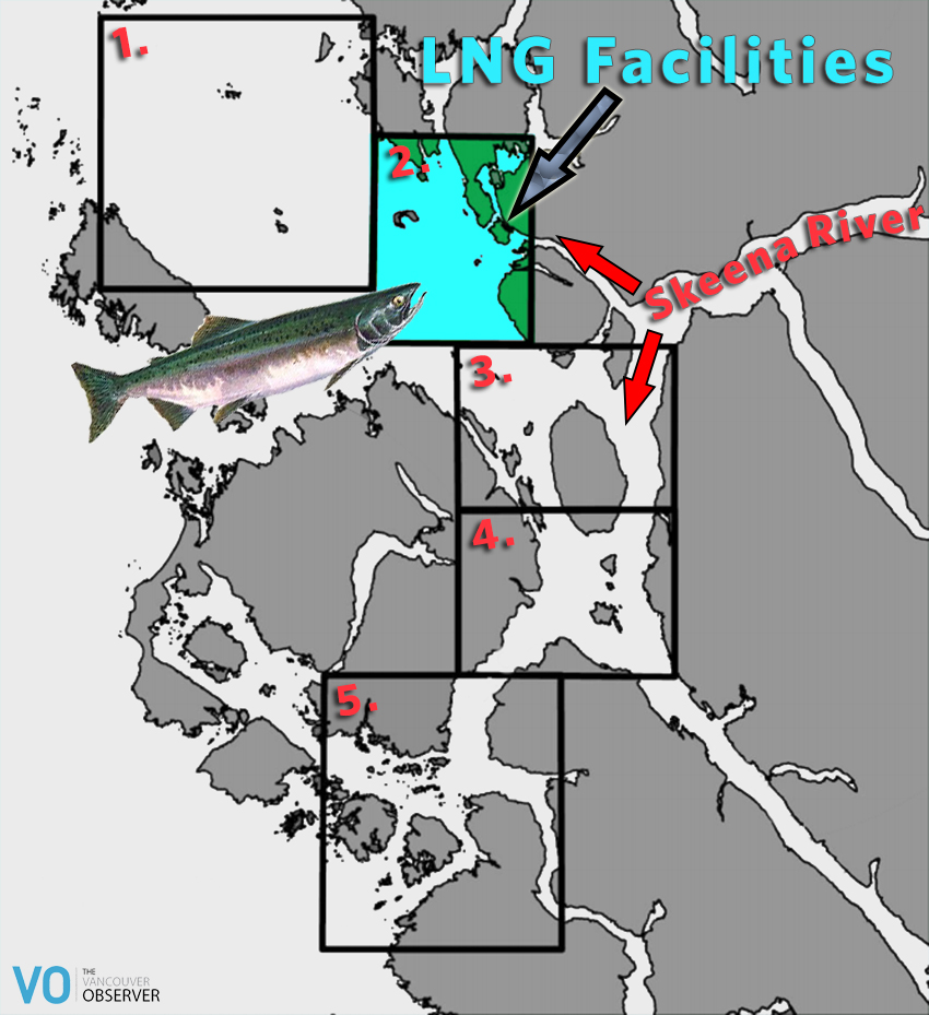 Skeena%20watershed%20salmon%20study%20LNG%20location%20map%20Vancouver%20Observer.jpg