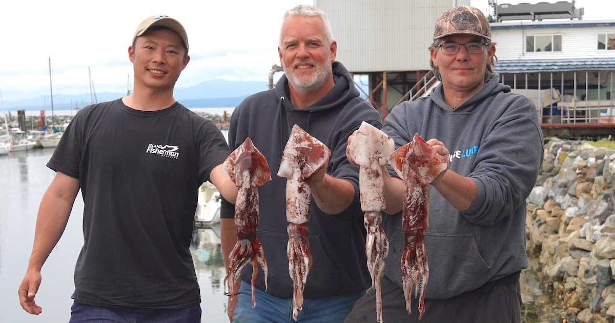 islandfishermanmagazine.com