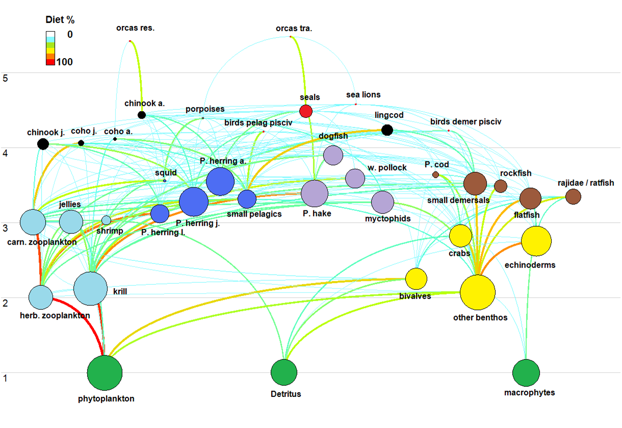 Analyses-and-Modeling-Link-SOG-food-web-model.png